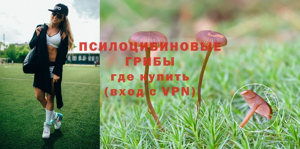 меф Дмитровск