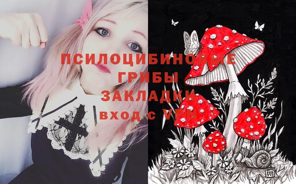 меф Дмитровск