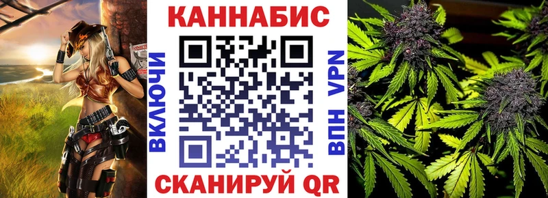 МАРИХУАНА гибрид  Судак 
